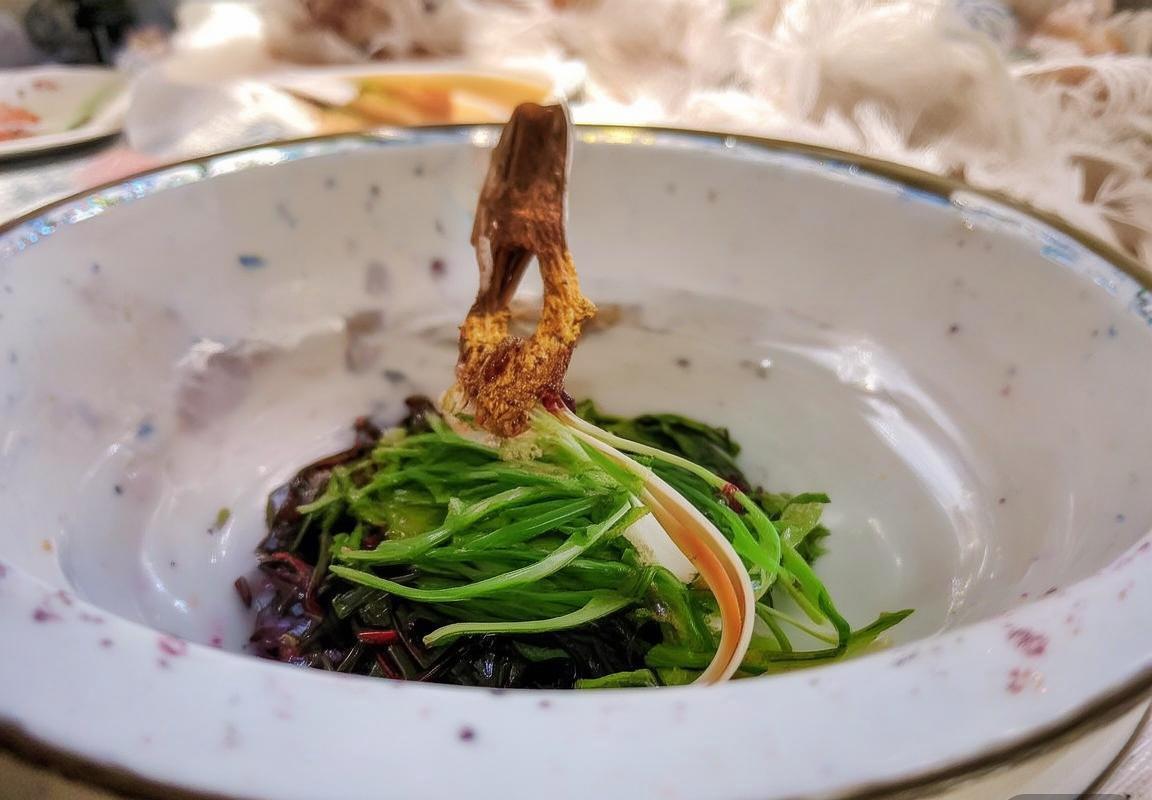 阿根廷VS意大利：巅峰对决战术解析与足球魅力回顾(图4)